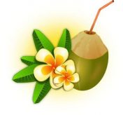 ♌ Mimpi makan buah kelapa togel