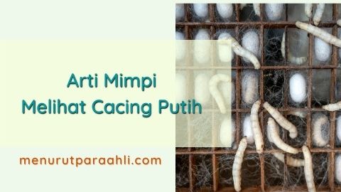 Arti Mimpi Melihat Cacing Putih Dan Pengaruhnya Bagi Kehidupan