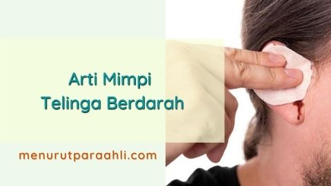 12+ Arti Mimpi Givi Berdarah Dan Banyak Kotoran Serta